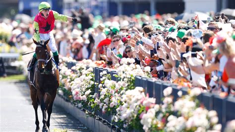 melbourne cup dividends|Melbourne Cup 2023 dividends: Trifecta, Exacta, Quinella and oth.
